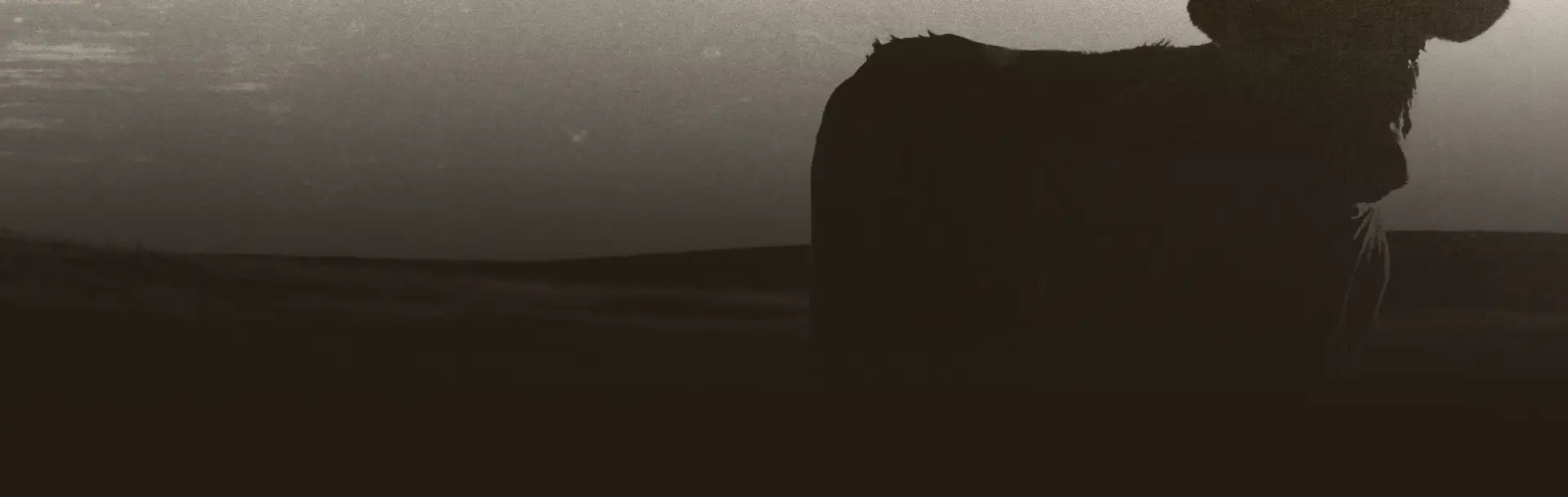 About Us Background